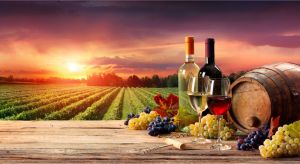 Tourism Listing Partner Winery Find